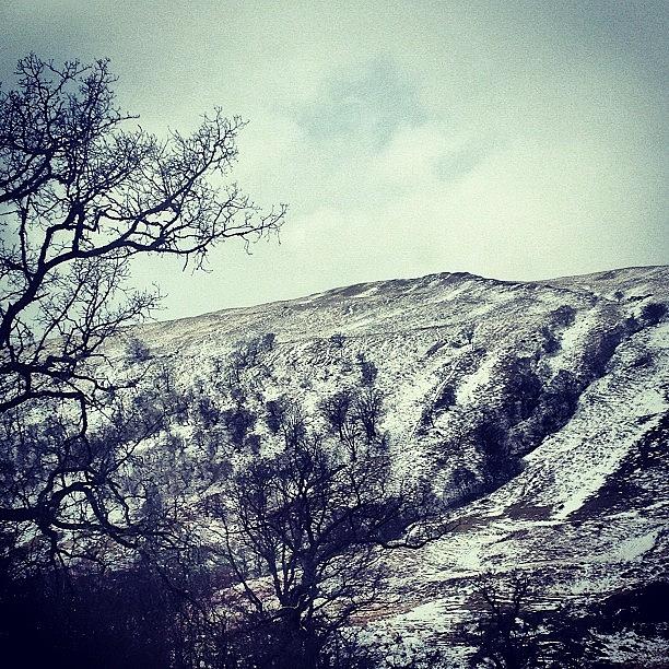 Tree Photograph - #snow #mountain #landscape by Charlotte Lyons