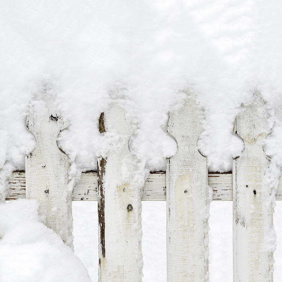 Winter Photograph - Snow on a white picket fence by Marianne Campolongo
