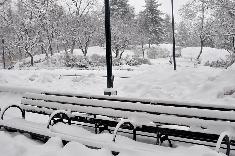 Snow on bench in Central Park Photograph by Diane Lent