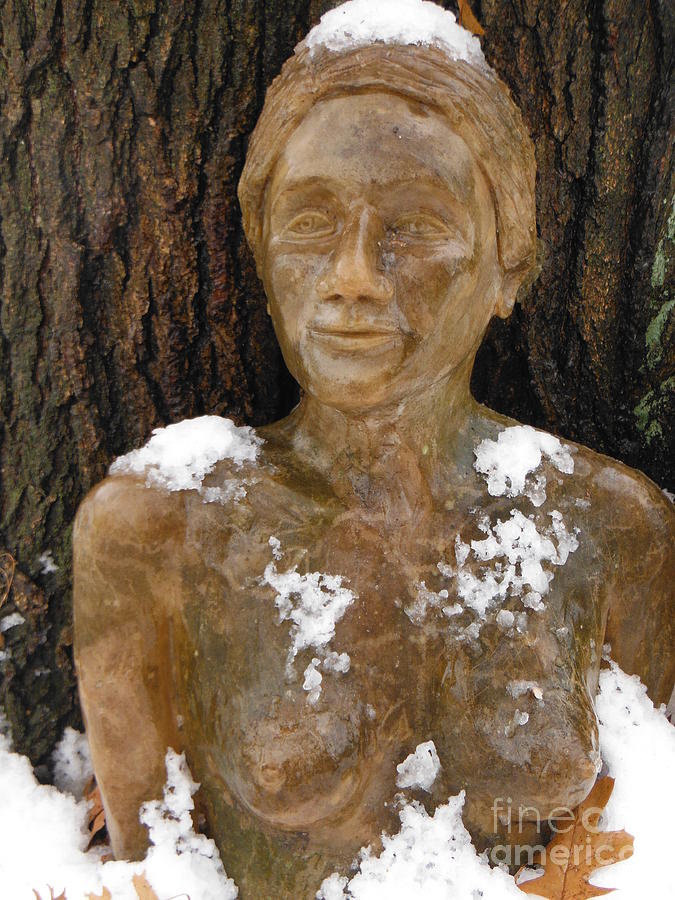 Snow On Her Shoulders Photograph by Paddy Shaffer