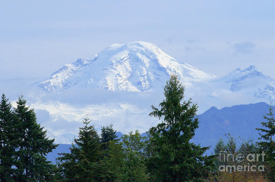 Snow on Mount Baker Photograph by Sharon Talson