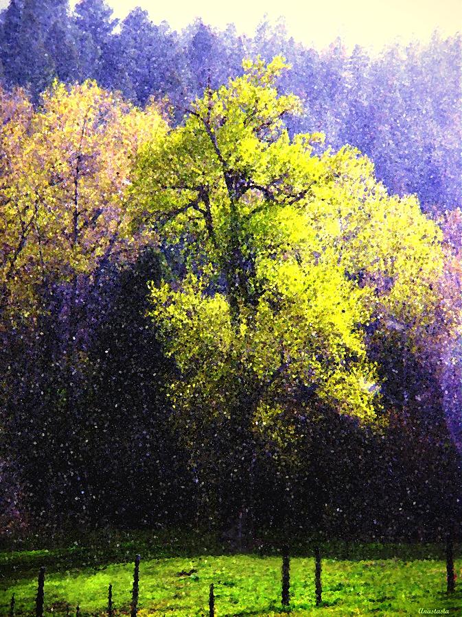 Snow On Spring Green Cottonwoods II Photograph by Anastasia Savage Ealy