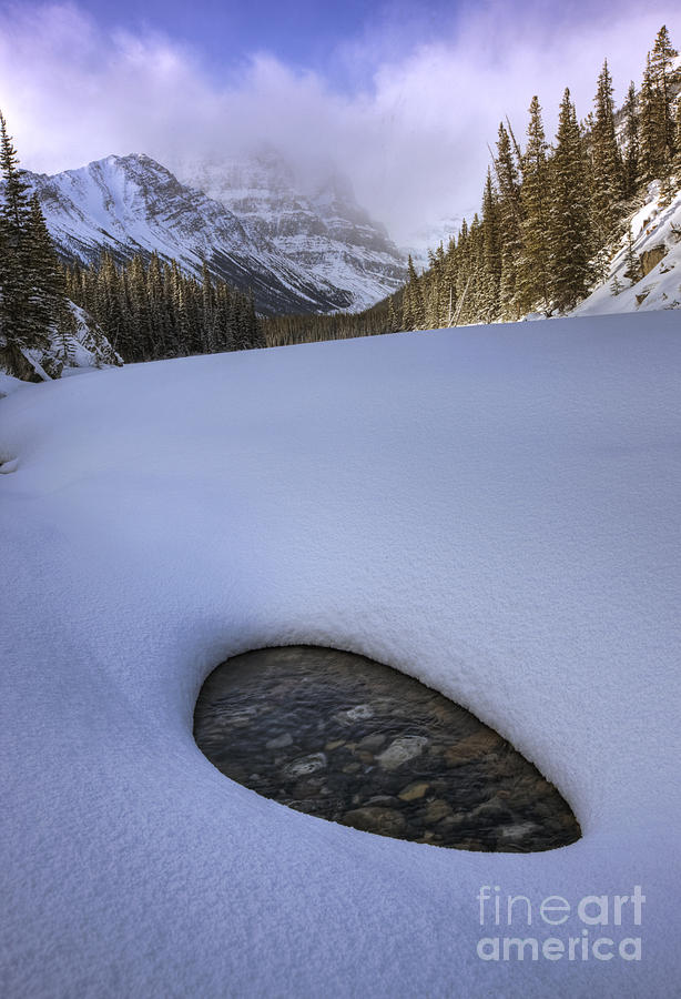 Snow on Sunwapta Creek Photograph by Dan Jurak