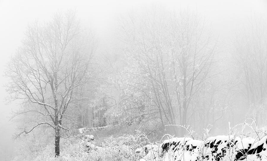 Snow on the Blue Ridge Parkway II Photograph by Greg Reed