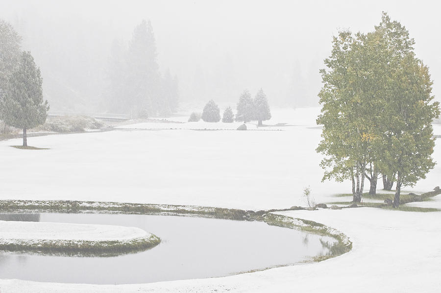 Snow on the Meadows Photograph by Mick Burkey