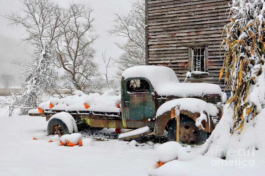 Snow on the Pumpkin Harvest Photograph by Benanne Stiens