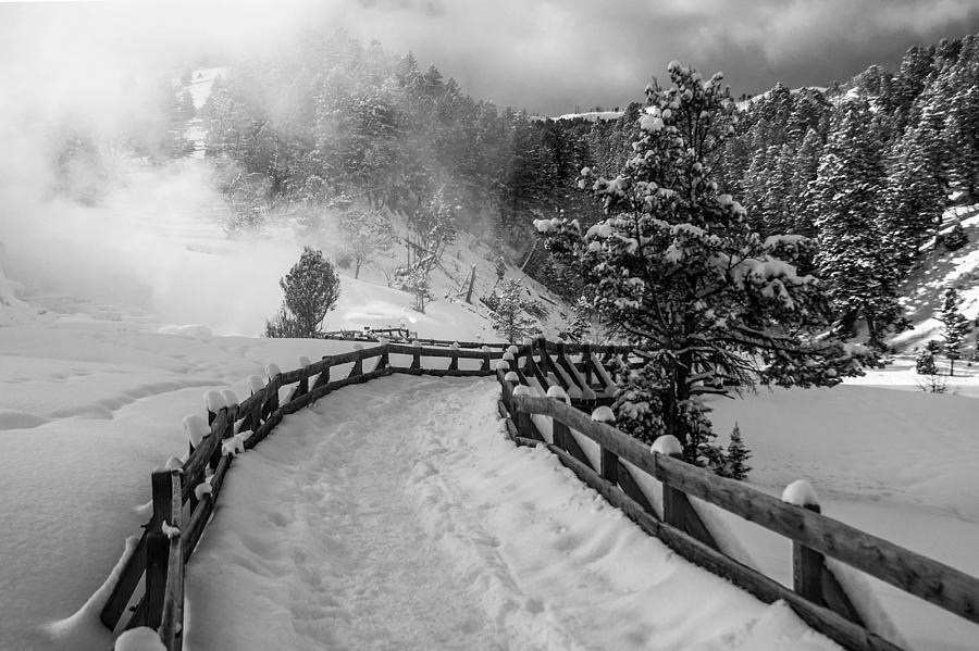 Snow on the trail Photograph by Richard Verkuyl