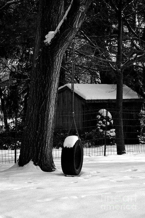 Snow on Tire Swing Photograph by Frank J Casella