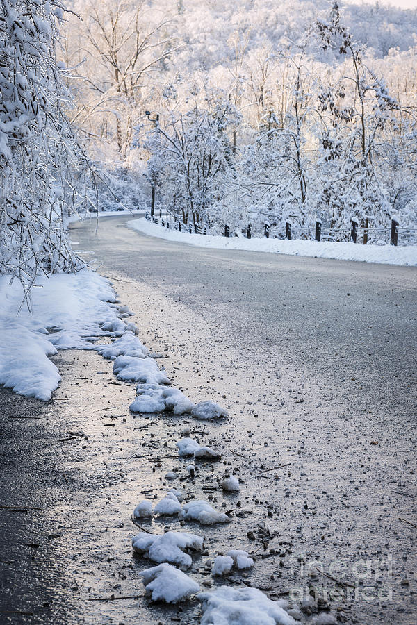 Snow on winter road 3 Photograph by Elena Elisseeva