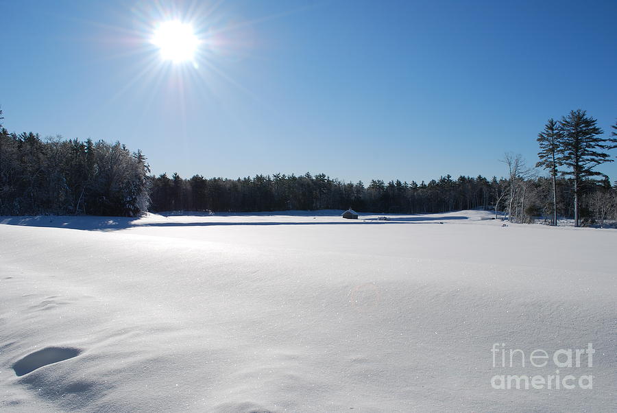 Snow Over Cranberry Bogs in New England Photograph by DejaVu Designs