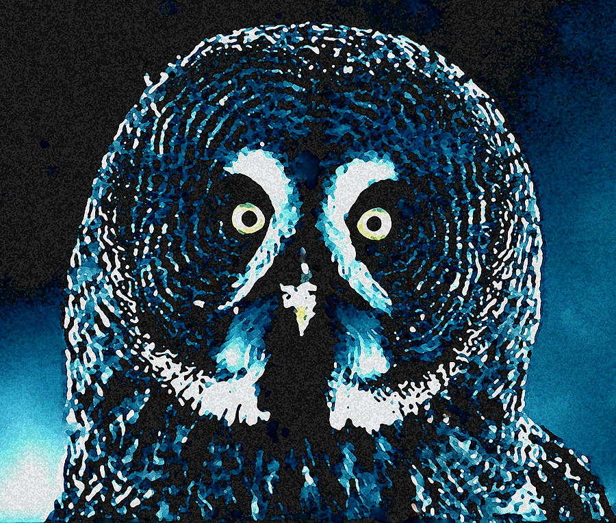 Snow Owl Painting by Colette V Hera Guggenheim