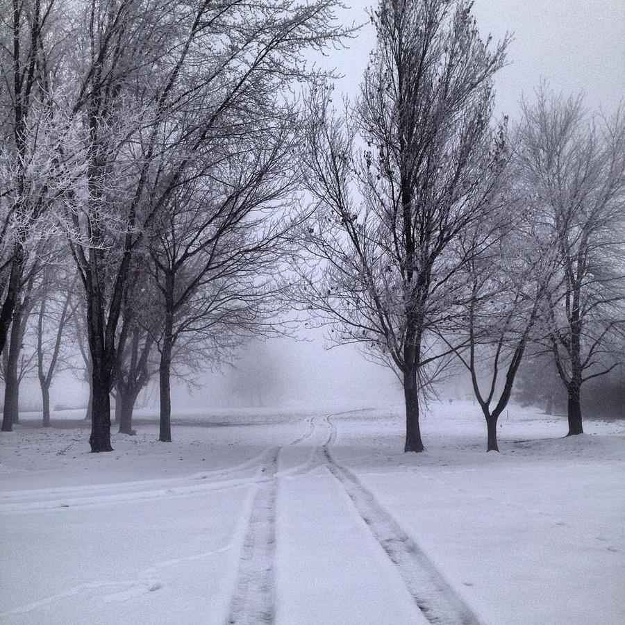 Uncategorized Enjolie path photograph by enjolie bostic snow bostic