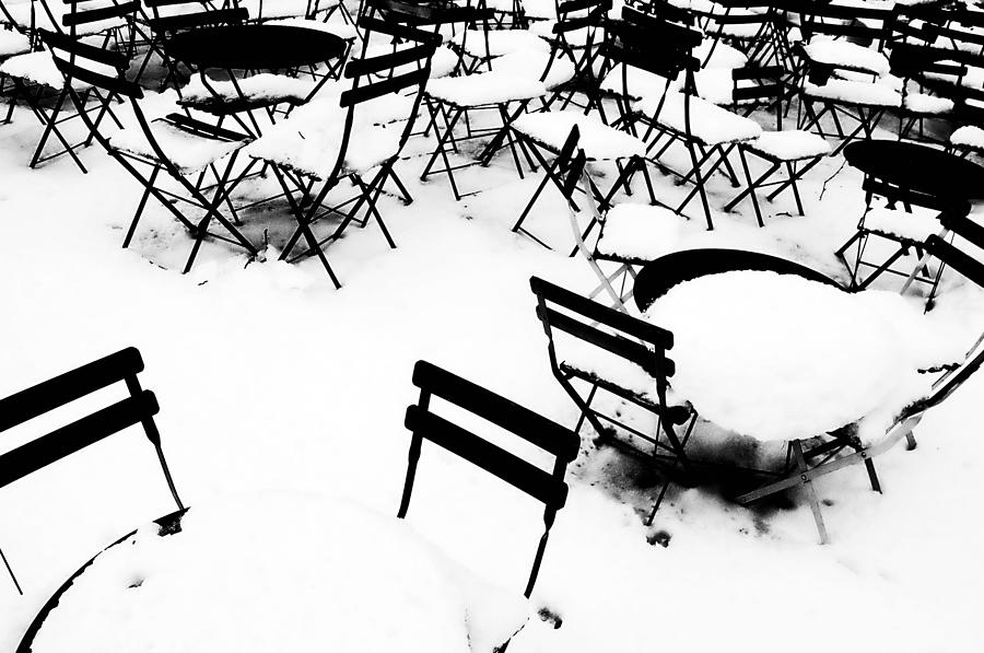 Snow Picnic Photograph by Diana Angstadt