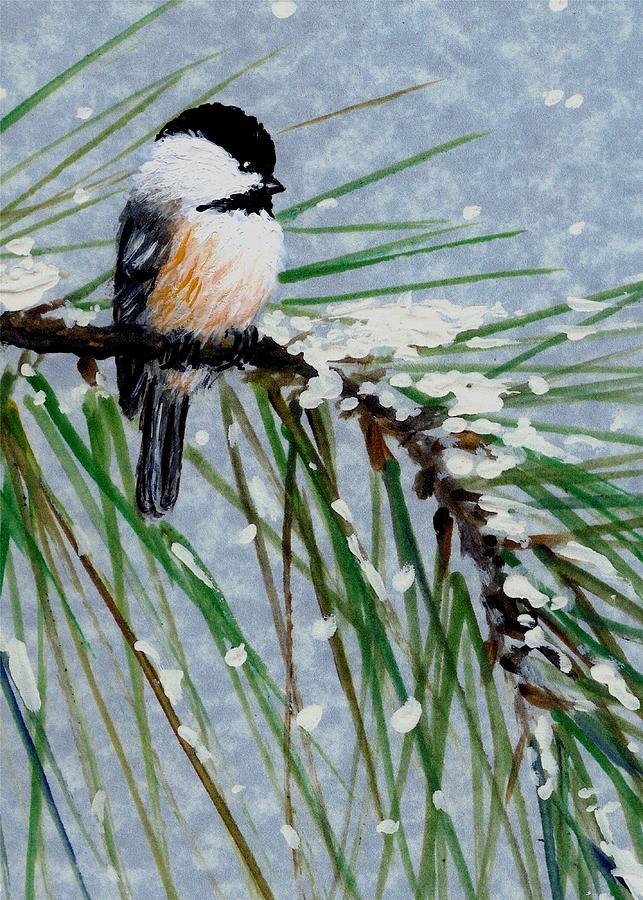 Snow Pine Chickadee Detail Print Bird 1 Painting by Kathleen McDermott