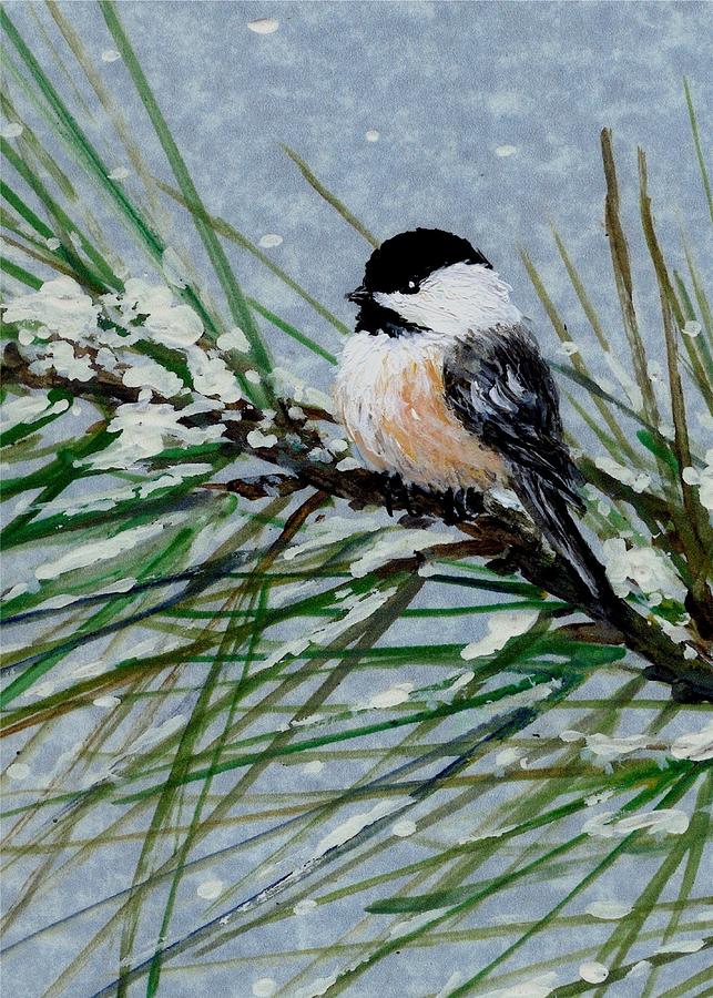 Snow Pine Chickadee Detail Print Bird 2 Painting by Kathleen McDermott