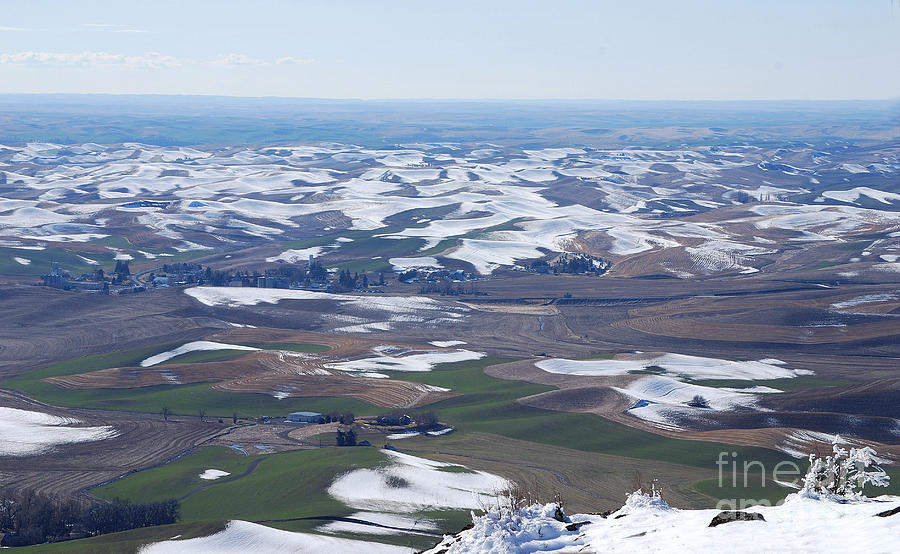 Snow Remnants on the Palouse Photograph by Sharon Elliott