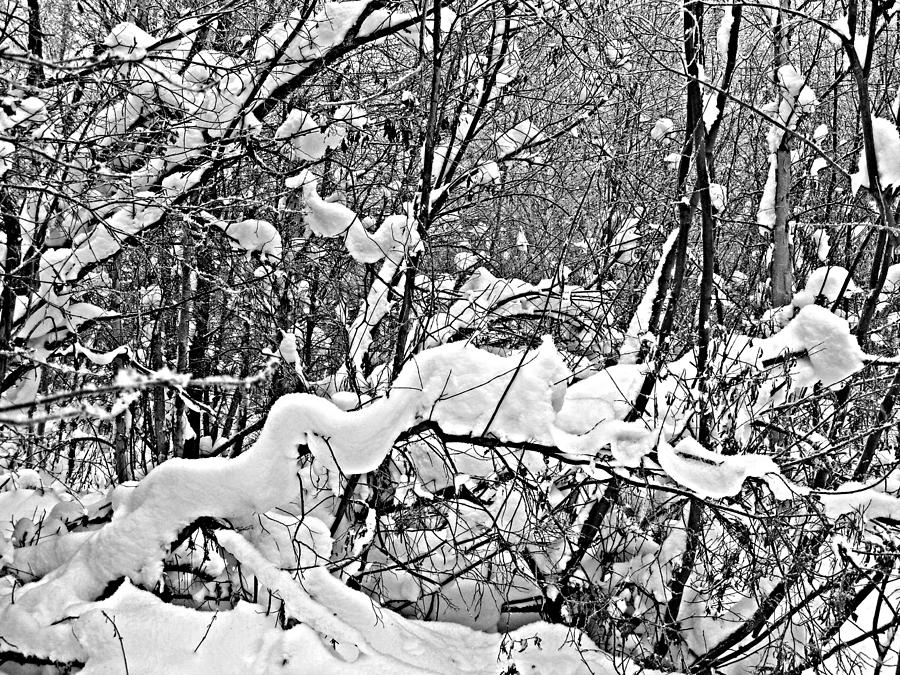 Snow Scene Photograph - Snow Ribbons by Pkm digital Photography