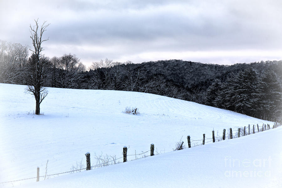 Snow Photograph by Robert Loe
