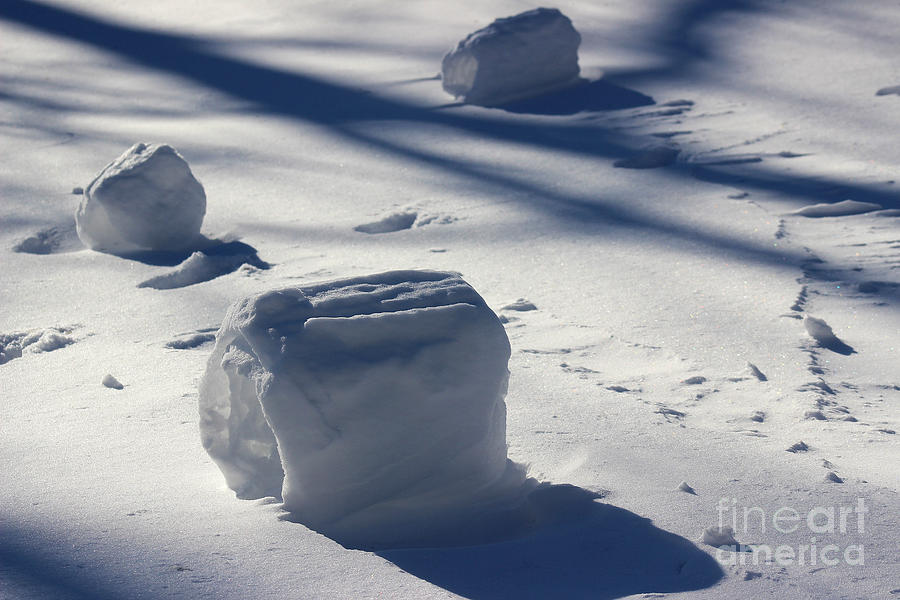 Snow Roller Trio in Shadows Photograph by Karen Adams