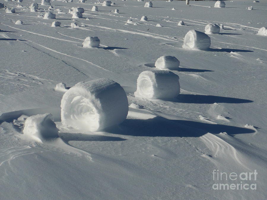 Snow Rollers 12 Photograph by Paddy Shaffer