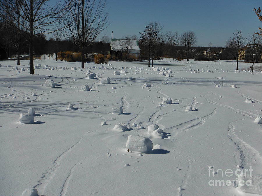 Snow Rollers 15 Photograph by Paddy Shaffer