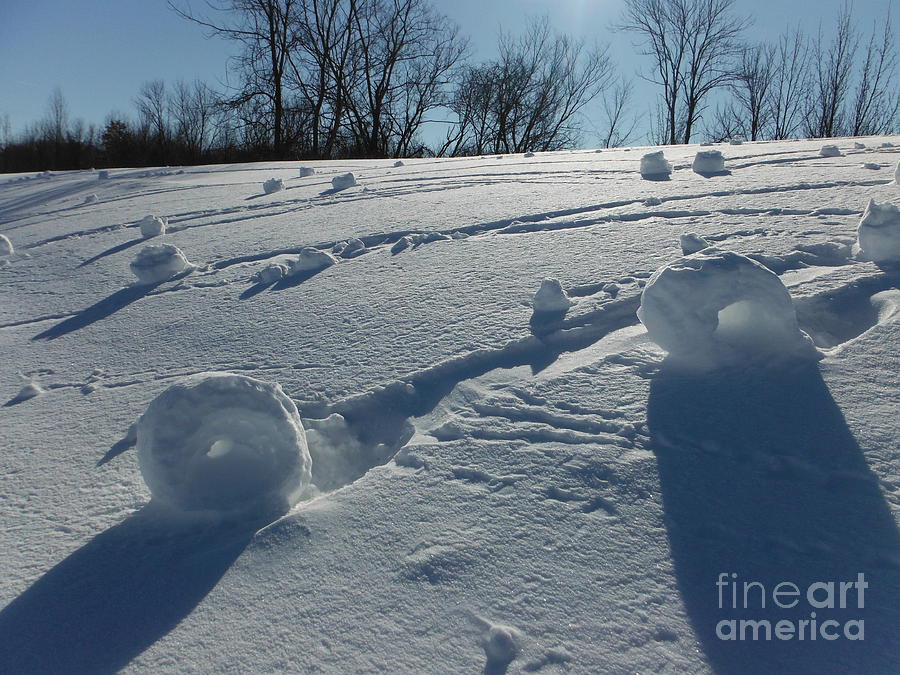 Snow Rollers 22 Photograph by Paddy Shaffer