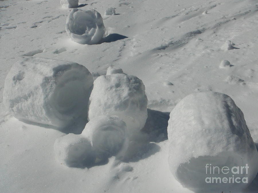 Snow Rollers 6 Photograph by Paddy Shaffer