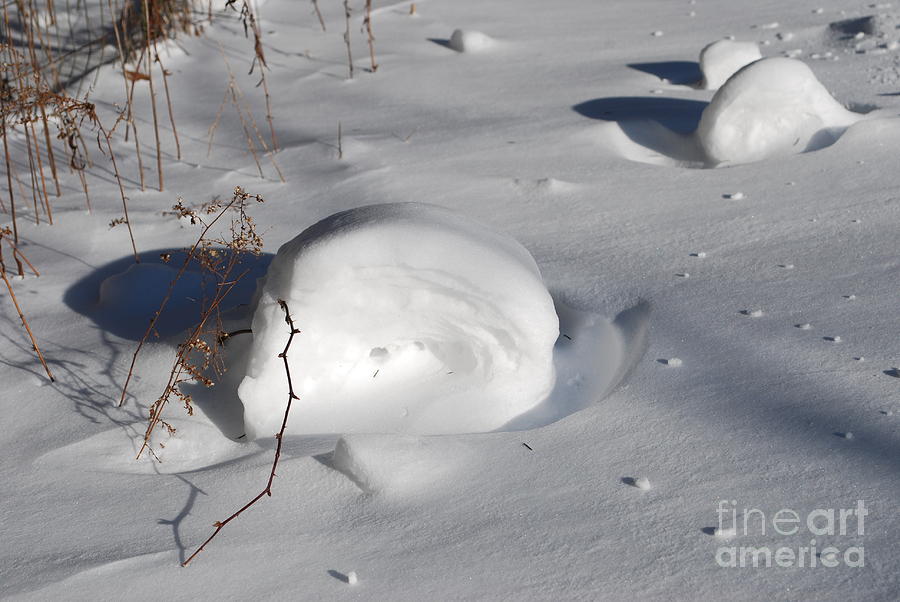 Snow Rollers Photograph by Lila Fisher-Wenzel
