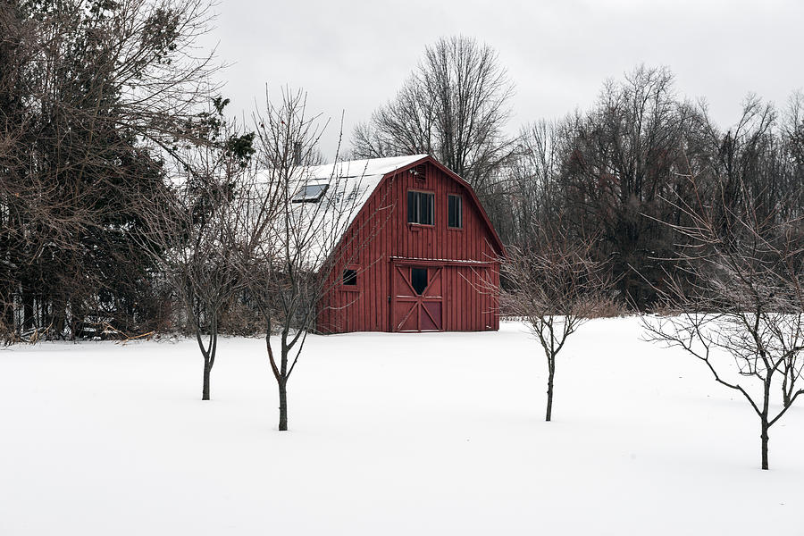 Snow scene in Ridgefield Connecticut Photograph by Carol M Highsmith