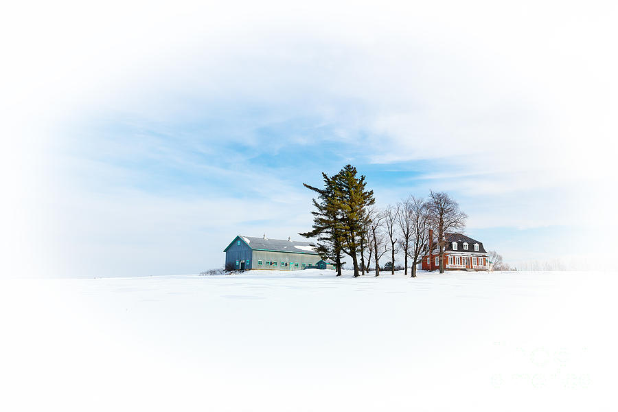 Snow scene  Photograph by Jane Rix
