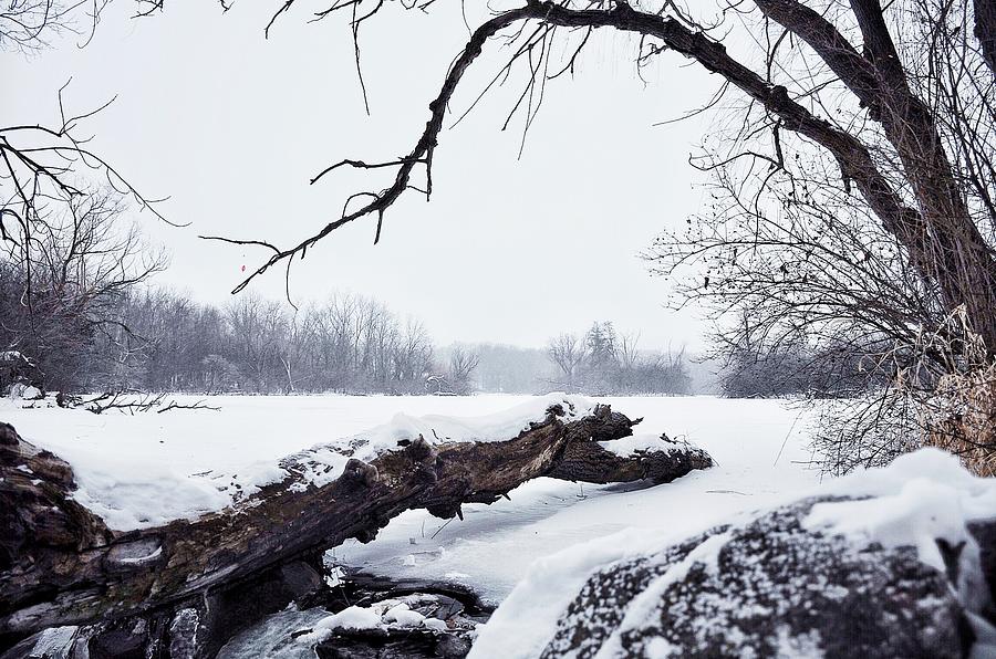 Winter Photograph - Snow Scene by Nikki Watson    McInnes