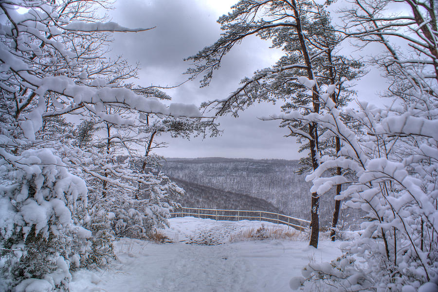 Snow Scenery Photograph by Douglas Barnett