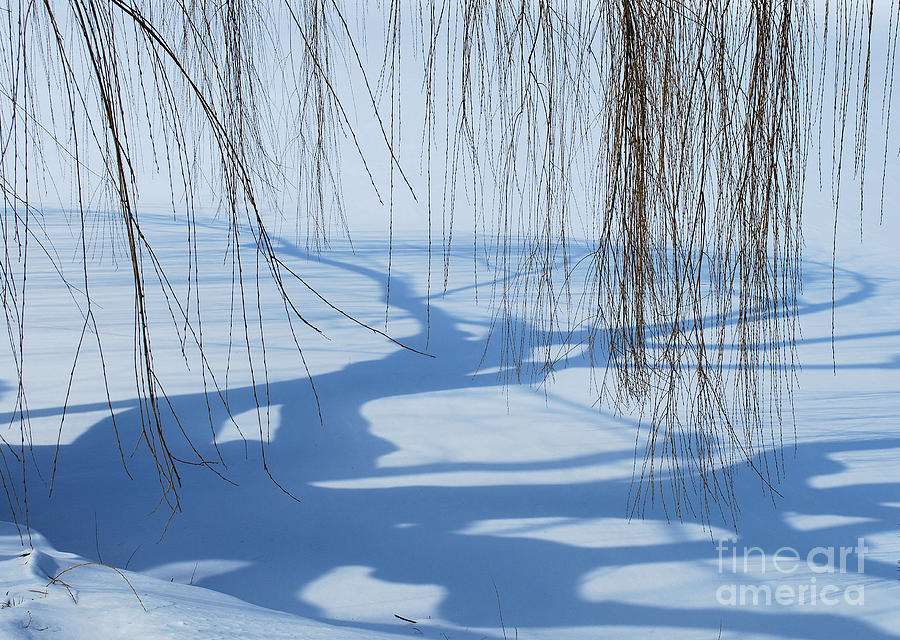 Winter Photograph - Snow Shadows I by Nancy Mueller