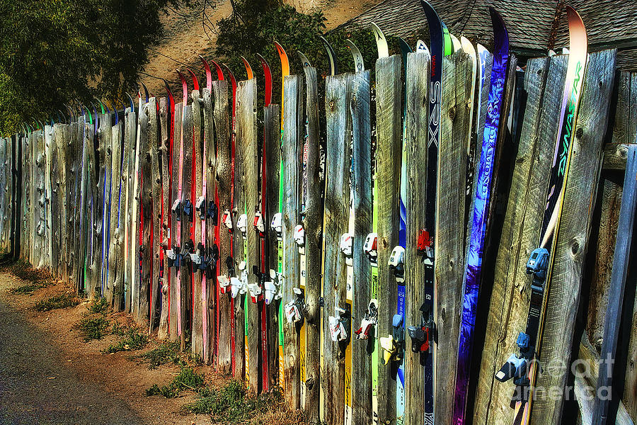 Snow Ski Fence Photograph by Clare VanderVeen