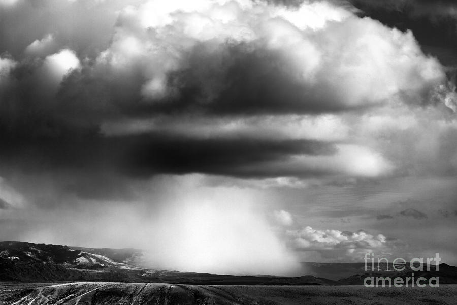 Black And White Photograph - Snow Squall In Black And White by Edward R Wisell