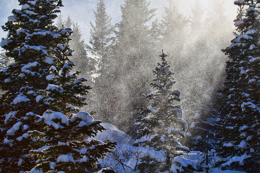 Snow Squalls Photograph by Jim Garrison