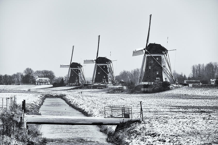 Black And White Photograph - Snow Storm at Drie Molen by Dawn Black