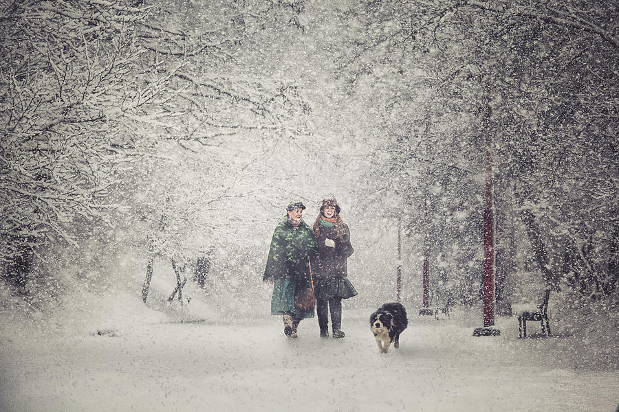 Winter Photograph - Snow Storm Charm by Stanislav Hricko