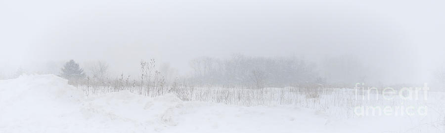 Snow Storm Visibility Photograph by Kay Novy