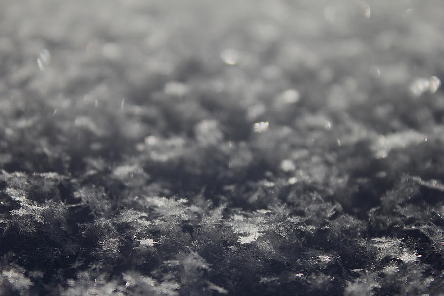 Snow Texture Photograph by Trent Mallett