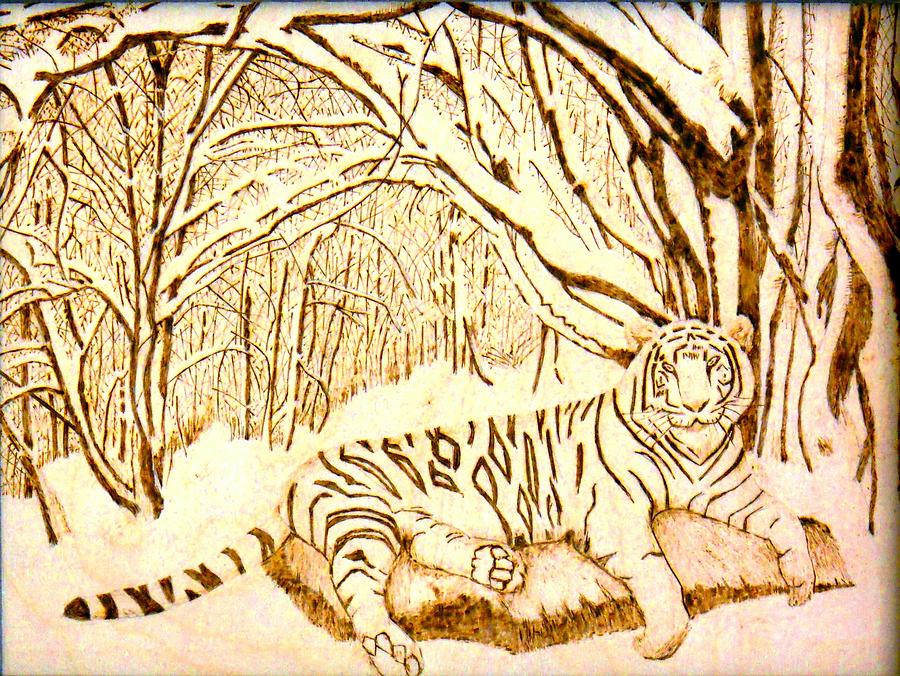 Cat Pyrography - Snow Tiger in the Snow by H Leslie Simmons
