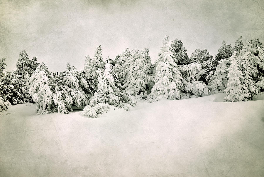 Landscape Photograph - Snow time. Vintage by Guido Montanes Castillo
