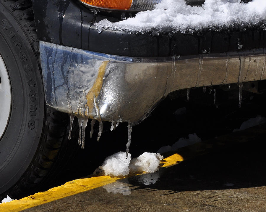 snow bumper cars near me