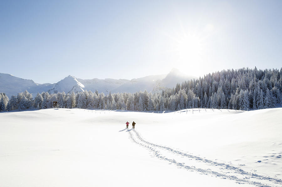Snow tracks of senior couple walking to trees and mountain range, Sattelbergalm, Tyrol, Austria Photograph by Manuela