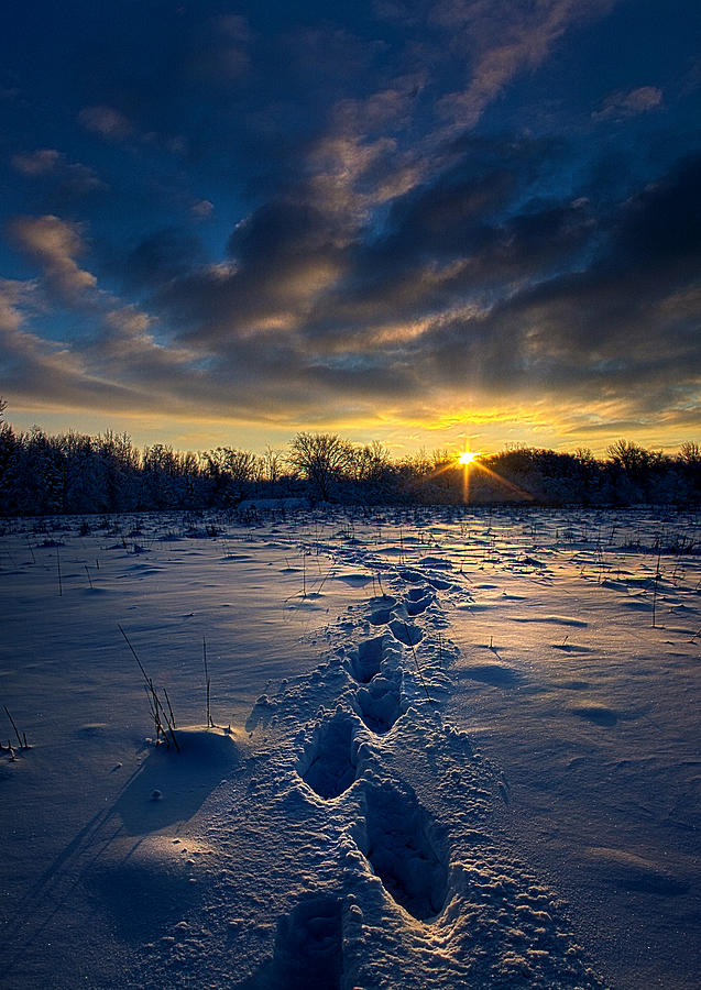 Snow Trek Photograph by Phil Koch
