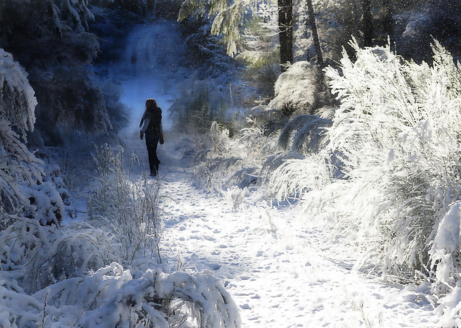 Snow Walking 2 Photograph by Ronda Broatch