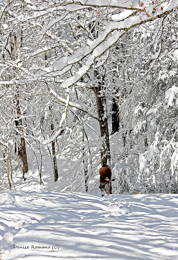 Snow Walking Photograph by Denise Romano