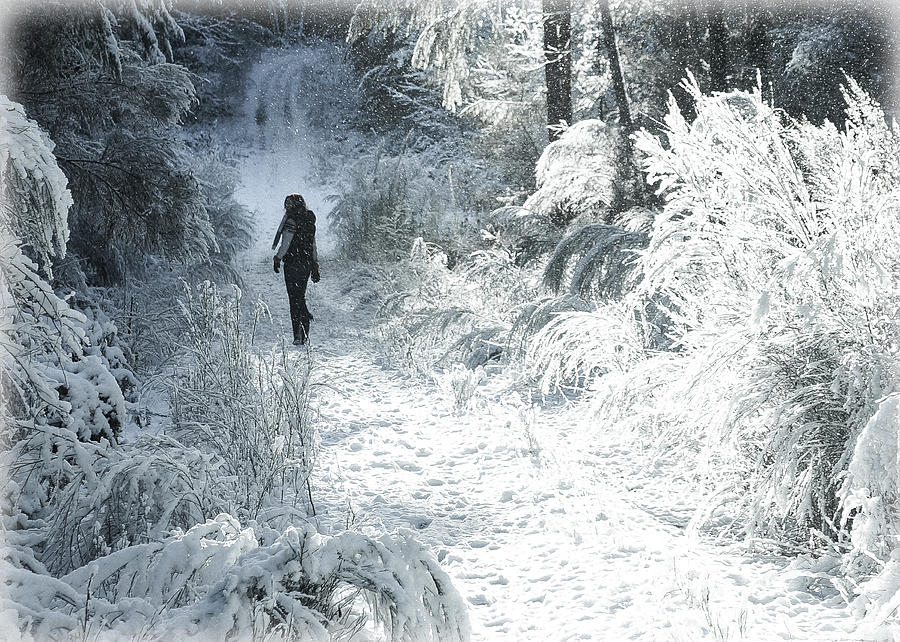Snow Walking Photograph by Ronda Broatch
