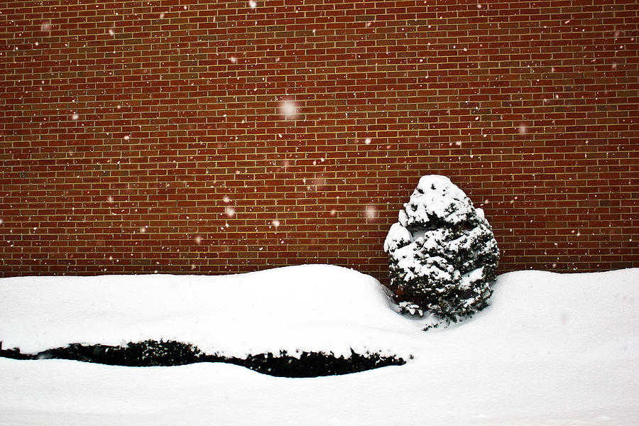Snow Wall Photograph by Tim Buisman