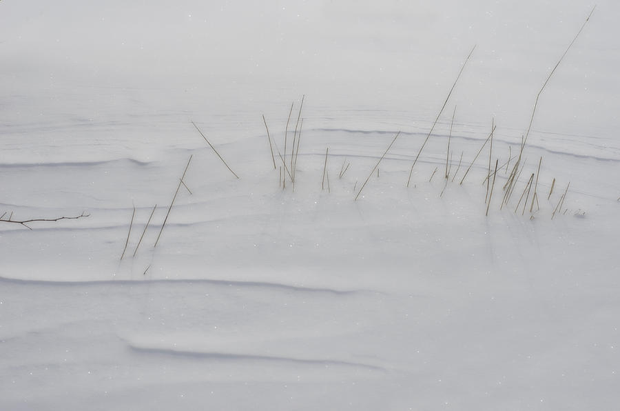 Snow Whispers Photograph by Sue Capuano